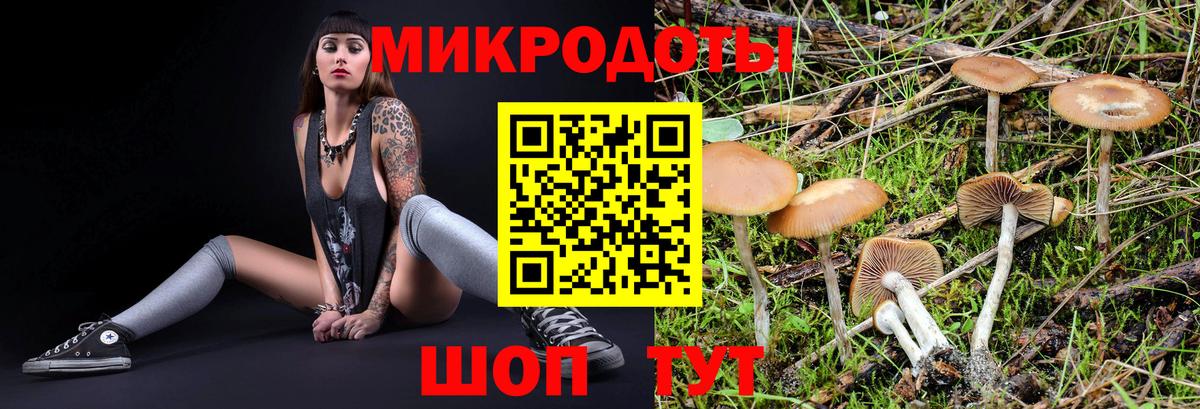 Псилоцибиновые грибы мухоморы  Вход с VPN  Тосно 